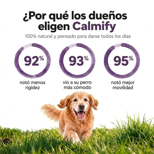 Lleva otro 70% OFF ¡IMPERDIBLE!