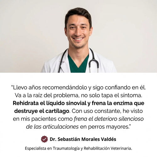Calmify® | Gotas de Apoyo Articular para Perros