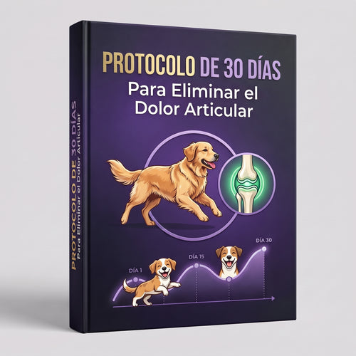 Guía Completa | Adiós Dolor Articular 30 días